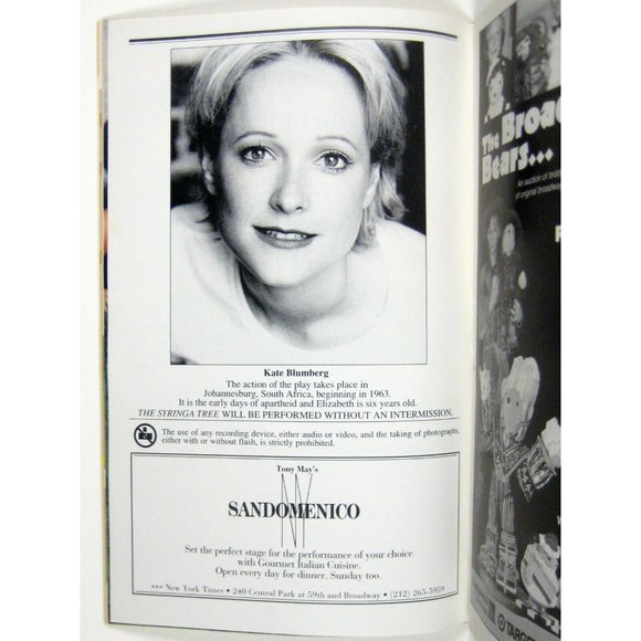 Syringa Tree Playbill January 2002 Kate Blumberg Pamela Gien Playhouse 91 - Picture 4 of 6